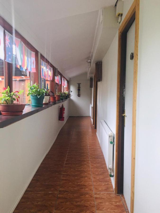 Hospedaje Irma Backpackers Pucón Exterior foto